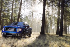 trees, Forests, Cars, Ford, F150