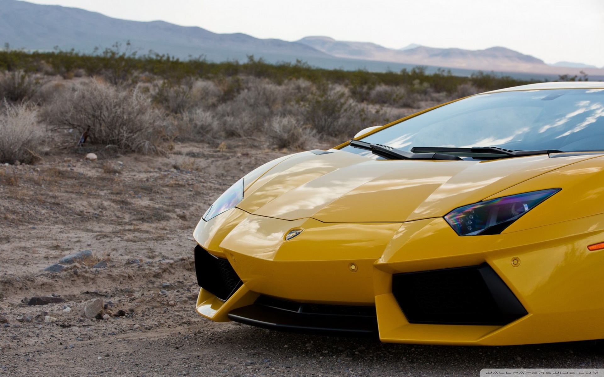 lamborghin Wallpaper