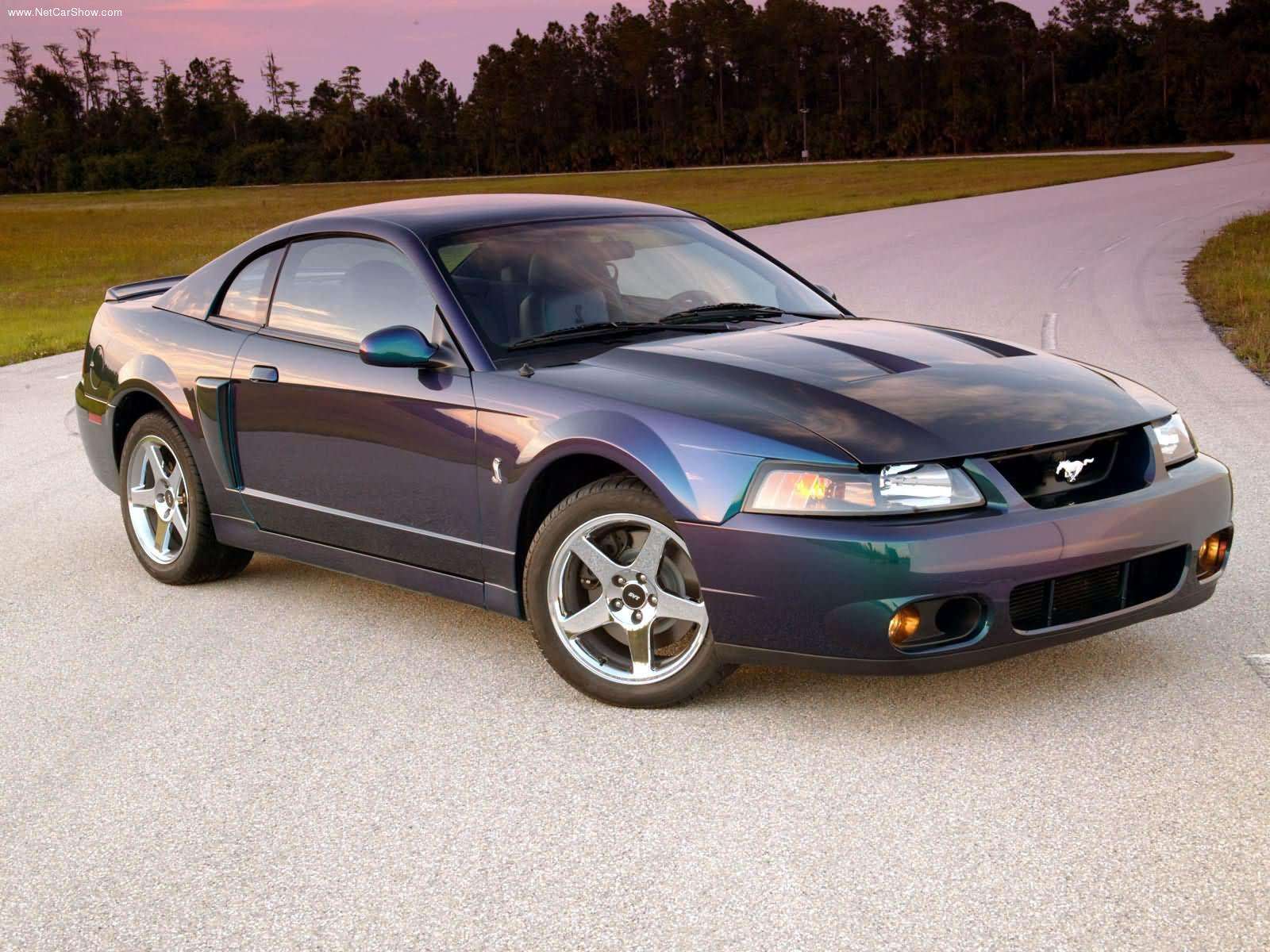 ford, Svt, Mustang, Cobra, Mystichrome, 2004 Wallpaper