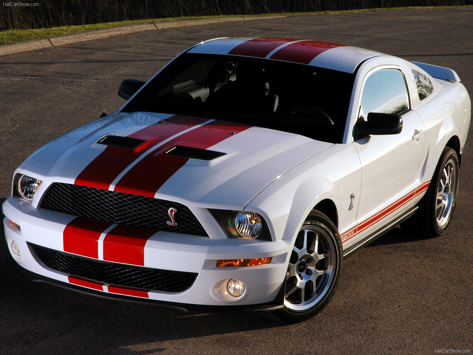 Ford Mustang Shelby Gt500 Red Stripe 2007 Wallpapers Hd Desktop