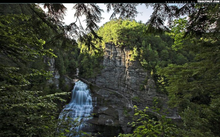forest, Stairways, Waterfalls HD Wallpaper Desktop Background