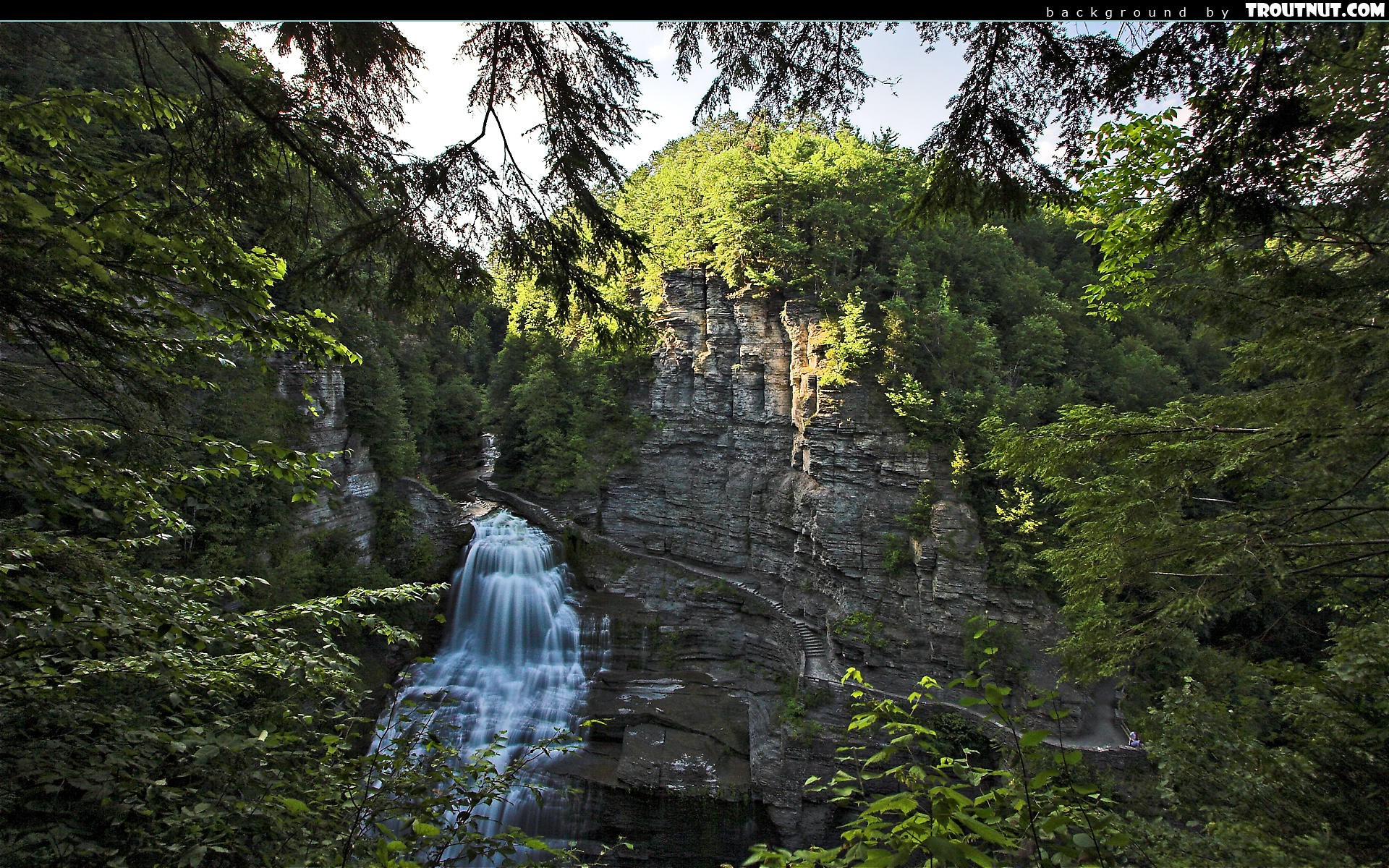 forest, Stairways, Waterfalls Wallpaper