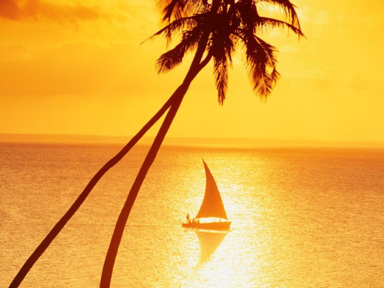 sunset, Paradise, Vehicles, Sailing, Sailboats HD Wallpaper Desktop Background