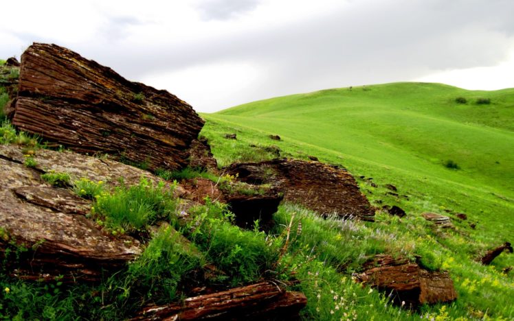 nature, Grass, Hills, Stones HD Wallpaper Desktop Background