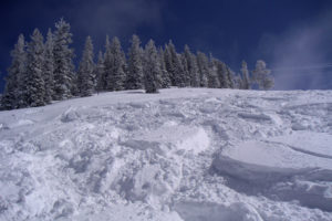 snow, Trees, Ski, Winter, Landscapes
