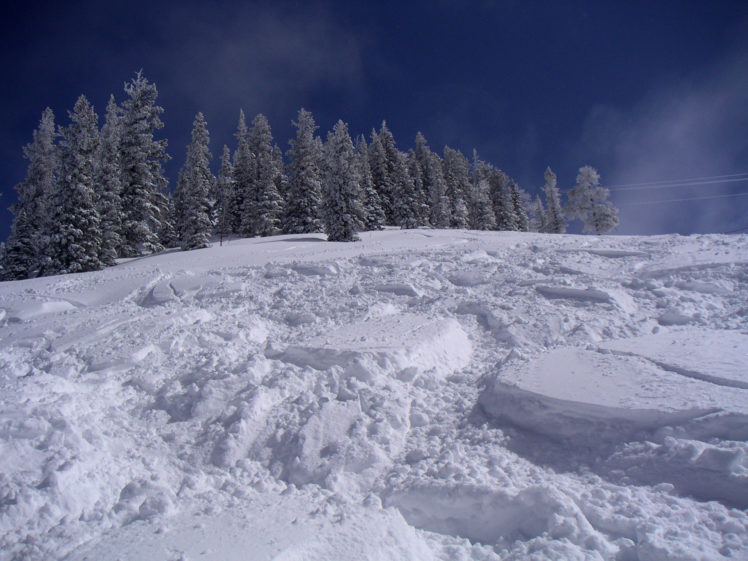 snow, Trees, Ski, Winter, Landscapes HD Wallpaper Desktop Background