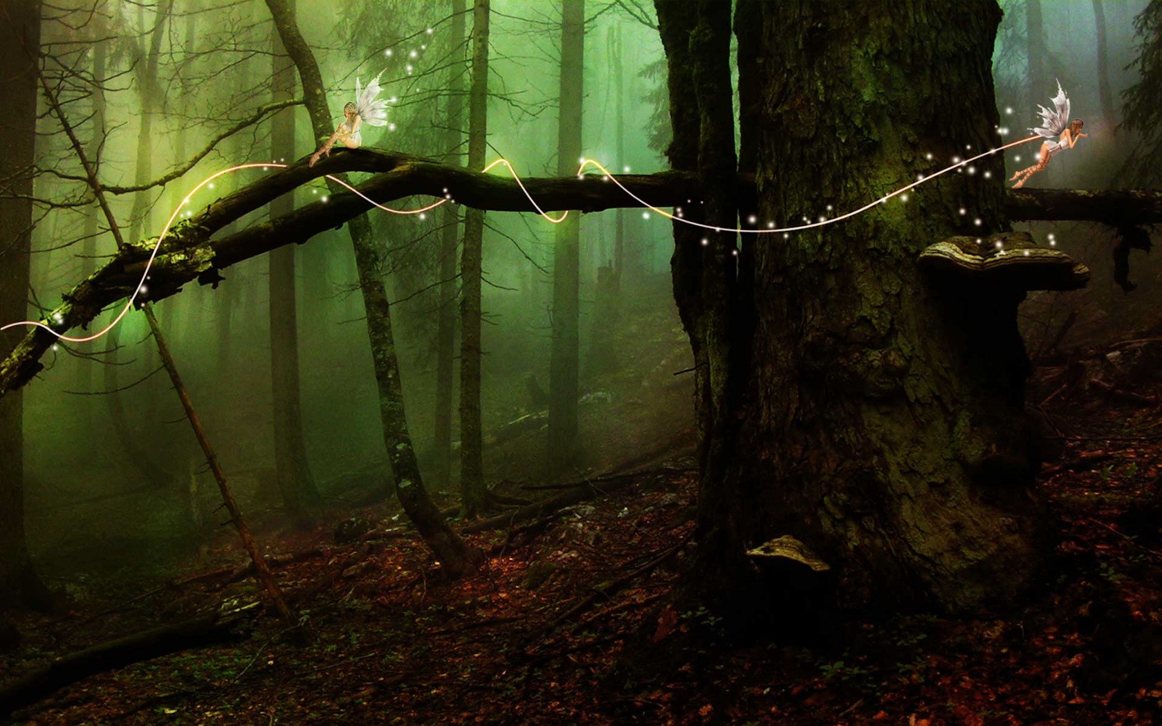 nature, Forests Wallpaper