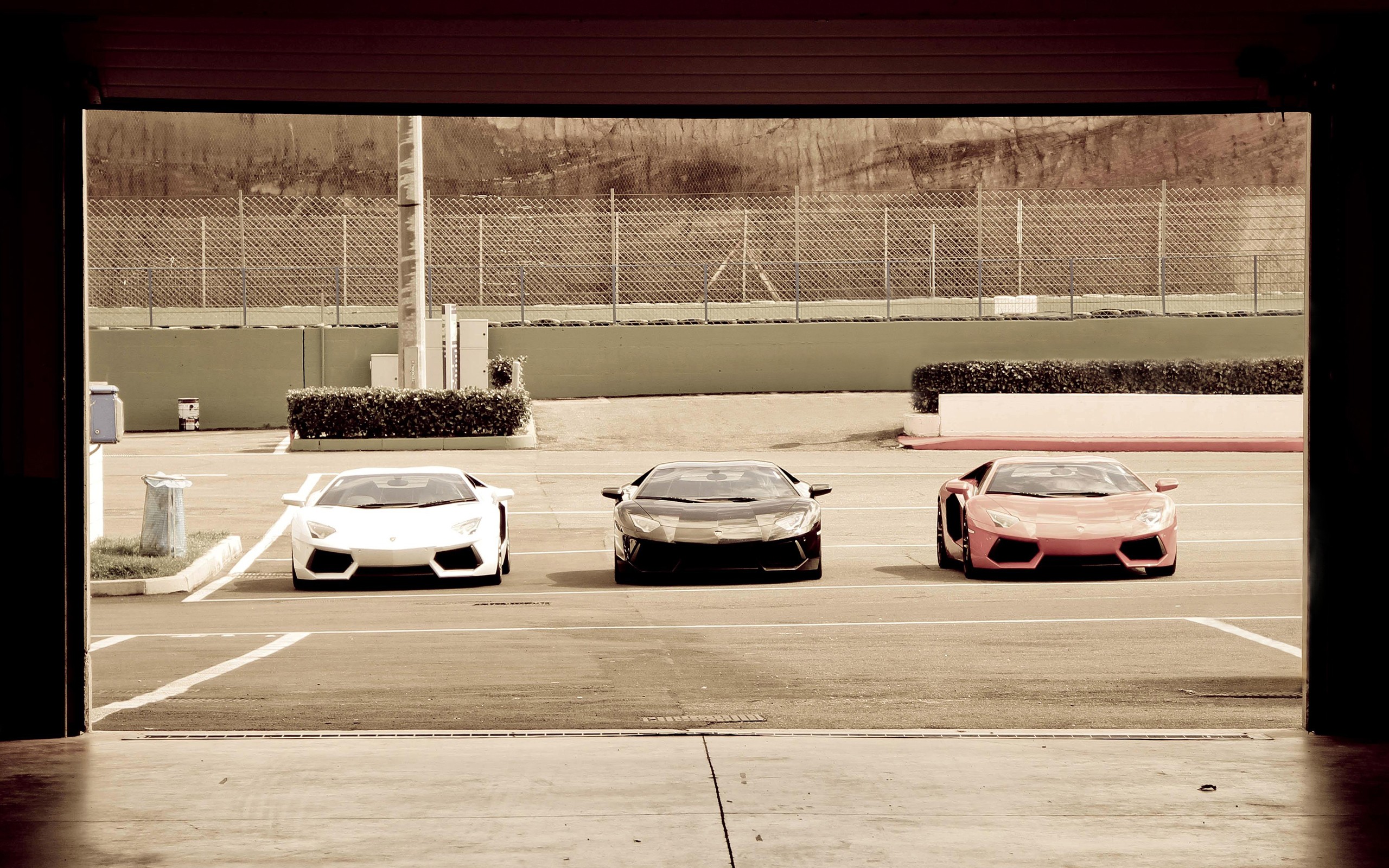 cars, Lamborghini Wallpaper