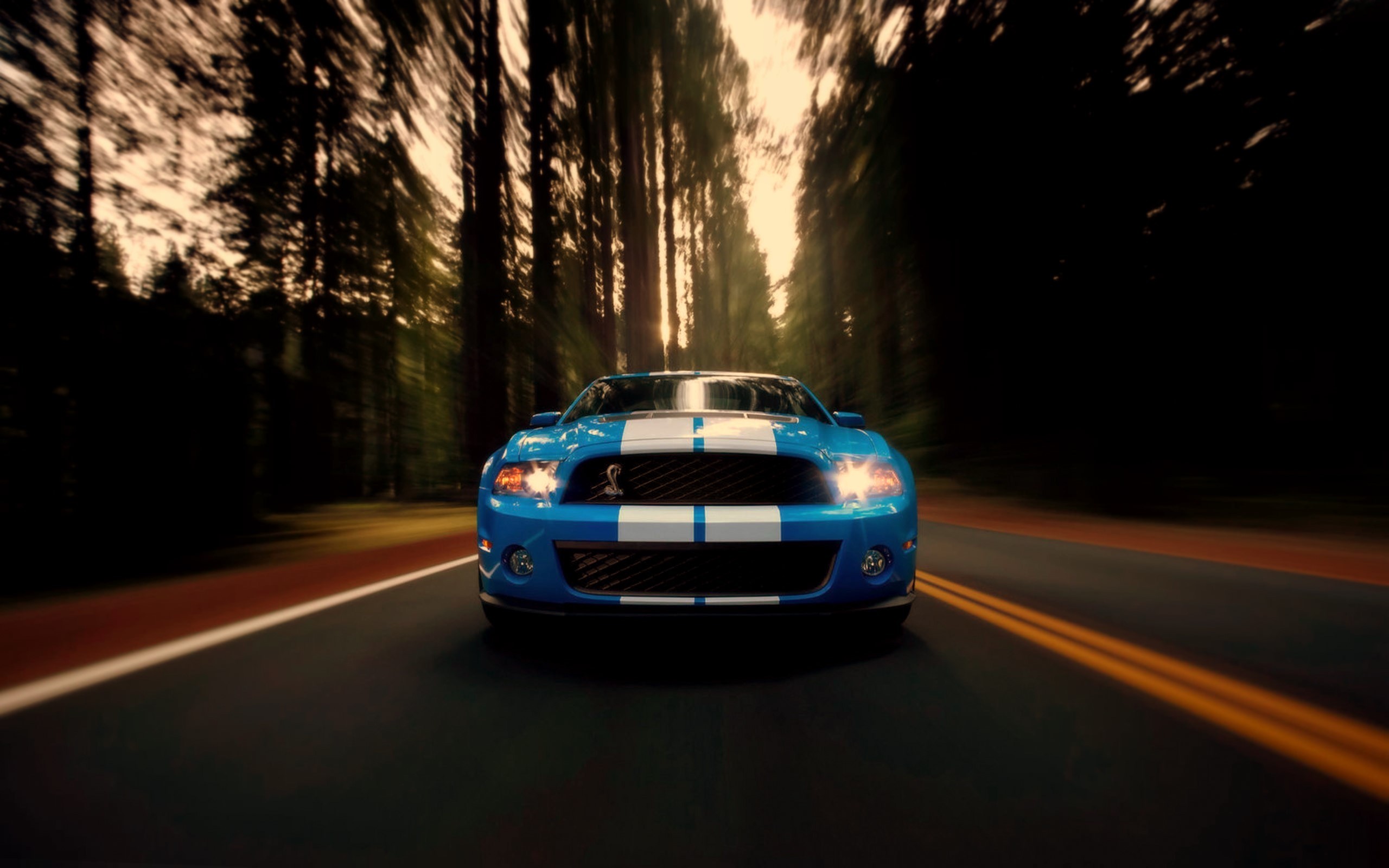 azule, And, White, Ford, Mustang, Shelby, Gt500 Wallpaper