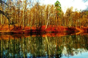 landscapes, Nature, Trees, Reflections