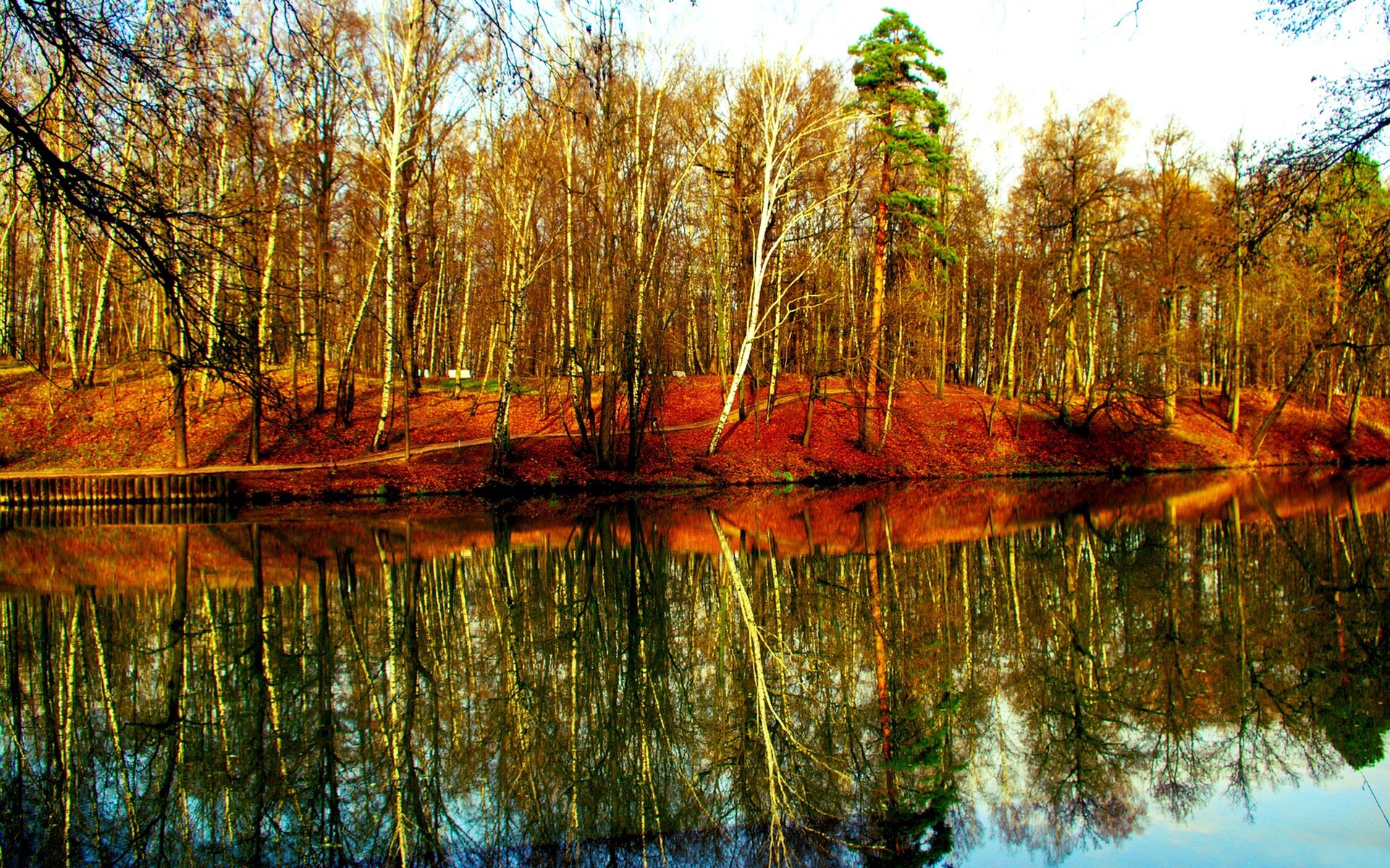 landscapes, Nature, Trees, Reflections Wallpaper