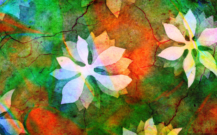 flowers, Stones, Textures, Cracks HD Wallpaper Desktop Background