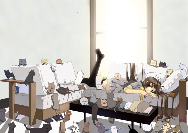 cats, Anime, Girls HD Wallpaper Desktop Background