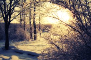 snow, Sun, Trees, Shadows, Snow, Landscapes