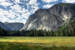 mountains, Landscapes, Trees, Yosemite, National, Park