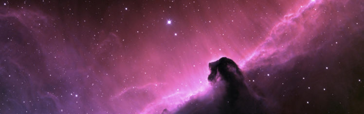 outer, Space, Horsehead, Nebula HD Wallpaper Desktop Background