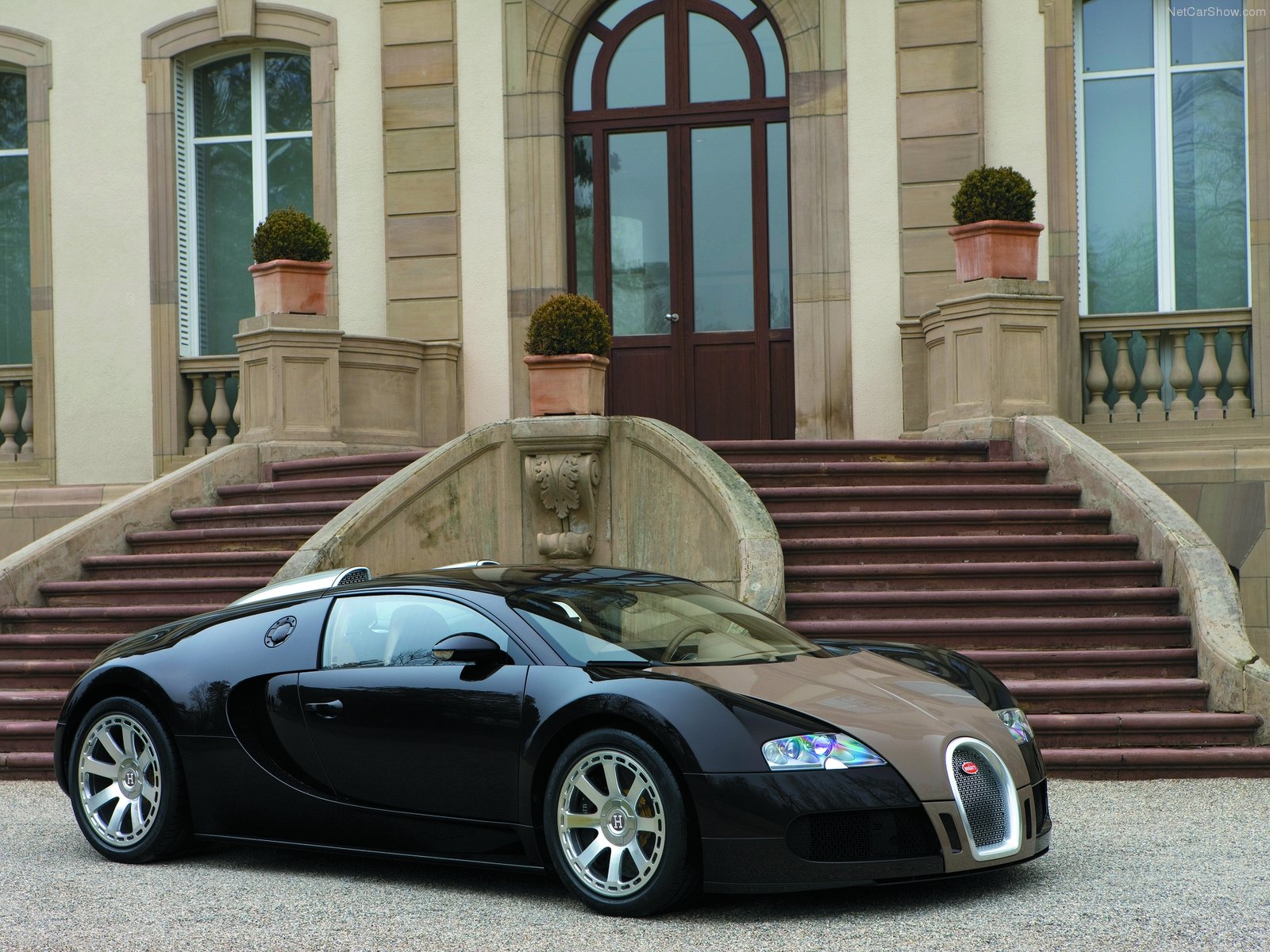 bugatti, Veyron, Fbg, Par, Hermes, 2008 Wallpaper