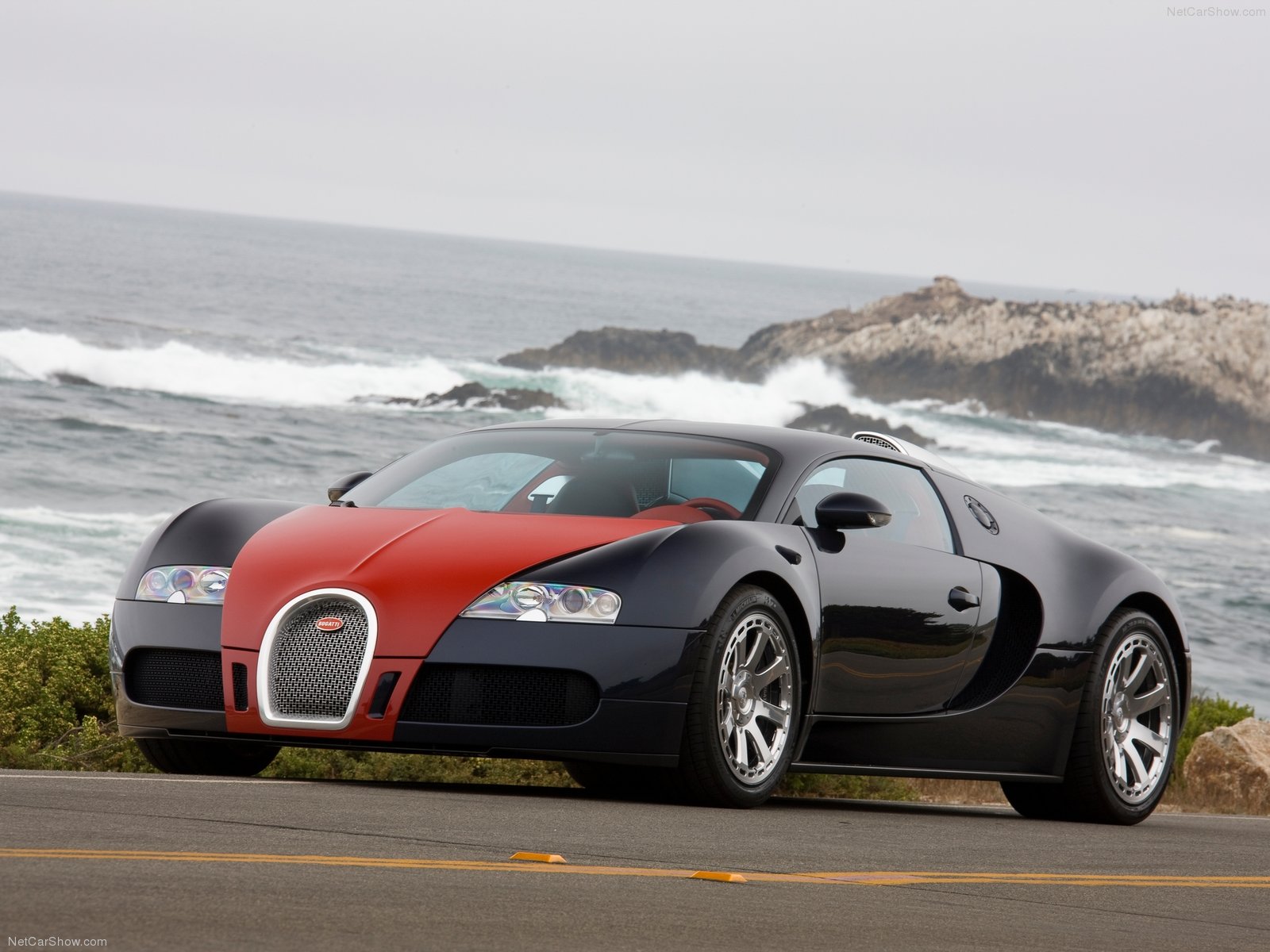 Bugatti veyron hermes