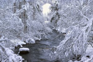 seasons, Nature, Winter, Snow, Rivers, Trees, Landscapes