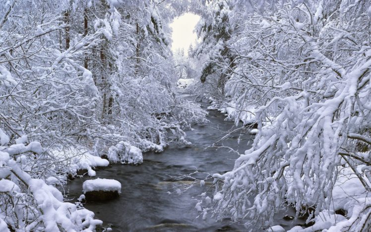 seasons, Nature, Winter, Snow, Rivers, Trees, Landscapes HD Wallpaper Desktop Background