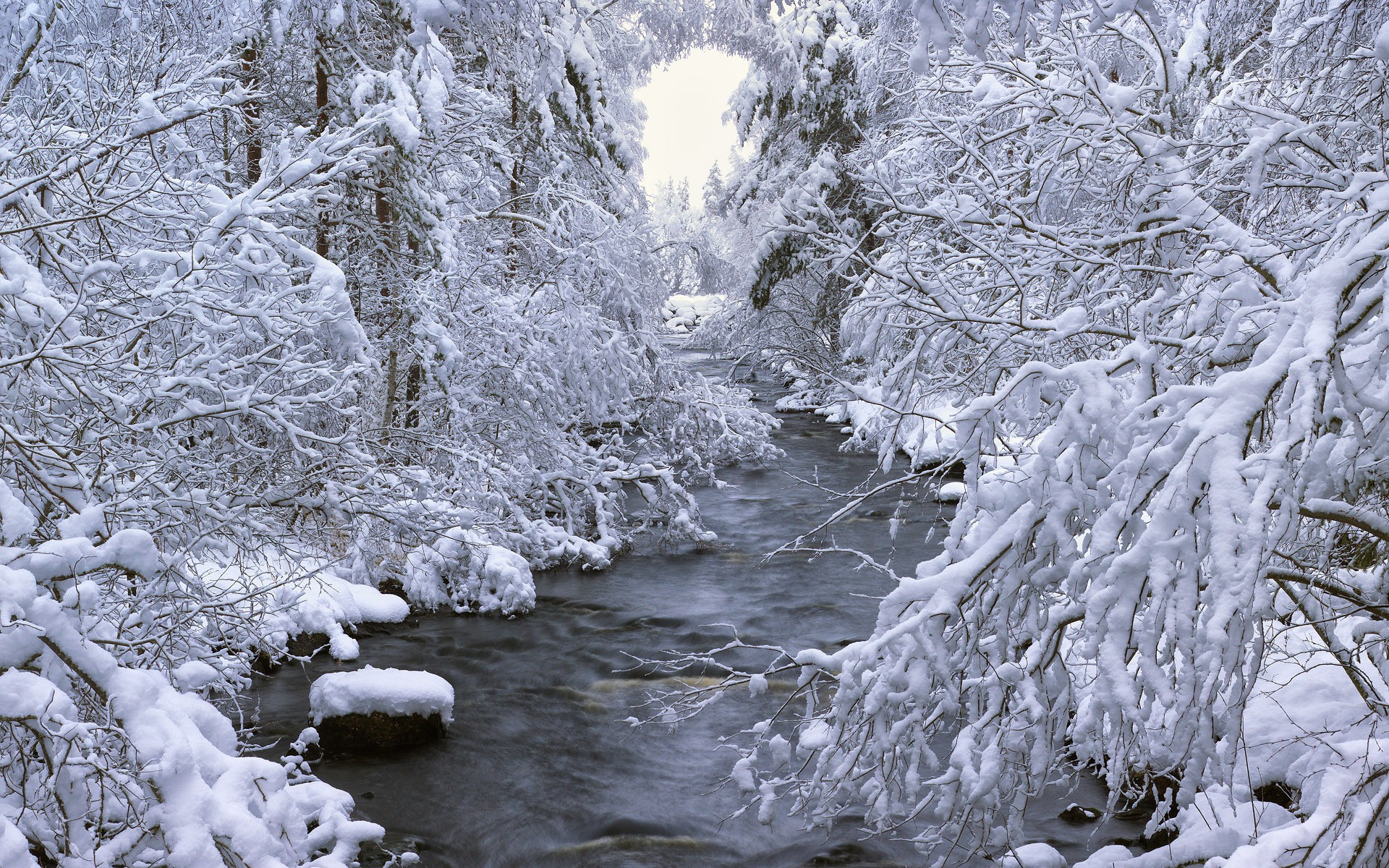 seasons, Nature, Winter, Snow, Rivers, Trees, Landscapes Wallpaper