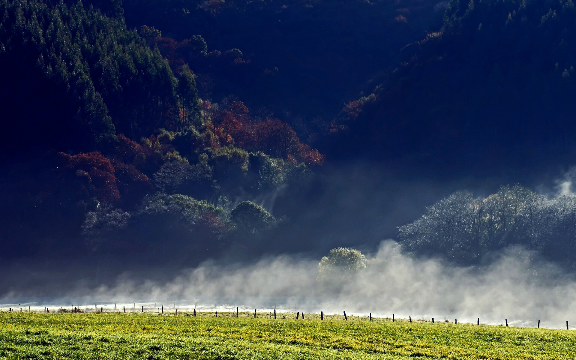 landscapes, Nature, Autumn, Fall, Seasons, Trees, Forest Wallpaper