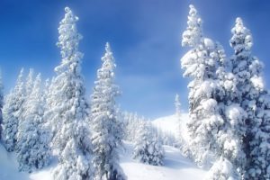 landscapes, Nature, Winter, Snow, Trees, Blue, Skies