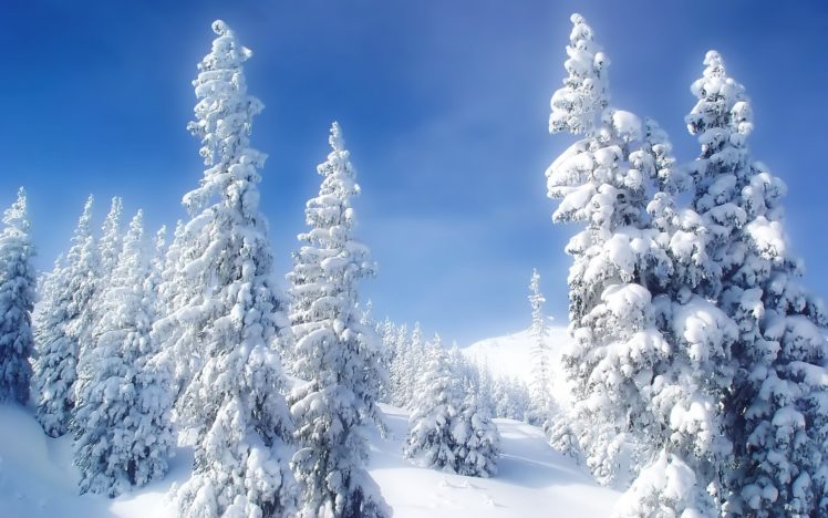 landscapes, Nature, Winter, Snow, Trees, Blue, Skies HD Wallpaper Desktop Background