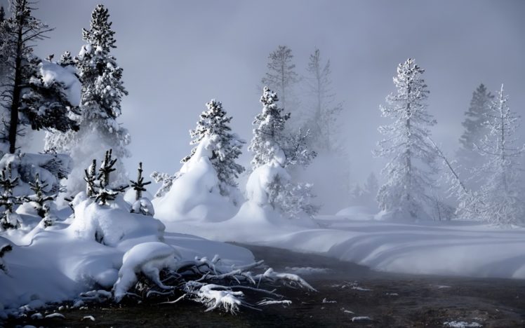 winter, Snow, Landscapes HD Wallpaper Desktop Background