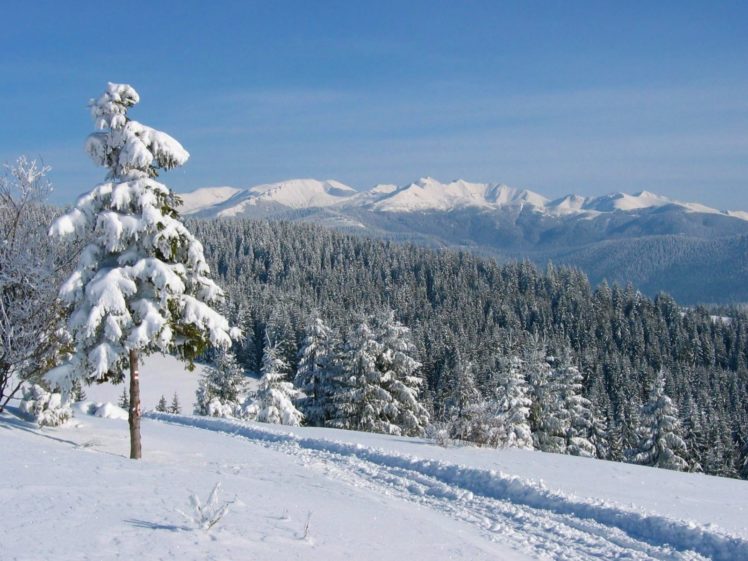landscapes, Snow, Forests, Trail HD Wallpaper Desktop Background