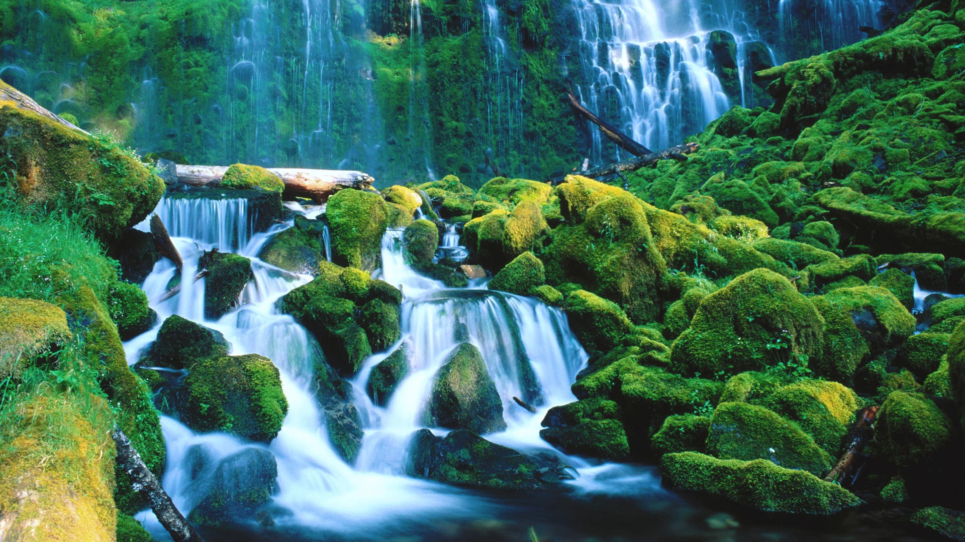 landscapes, Forests, Falls, National, Oregon, Waterfalls, Proxy Wallpaper