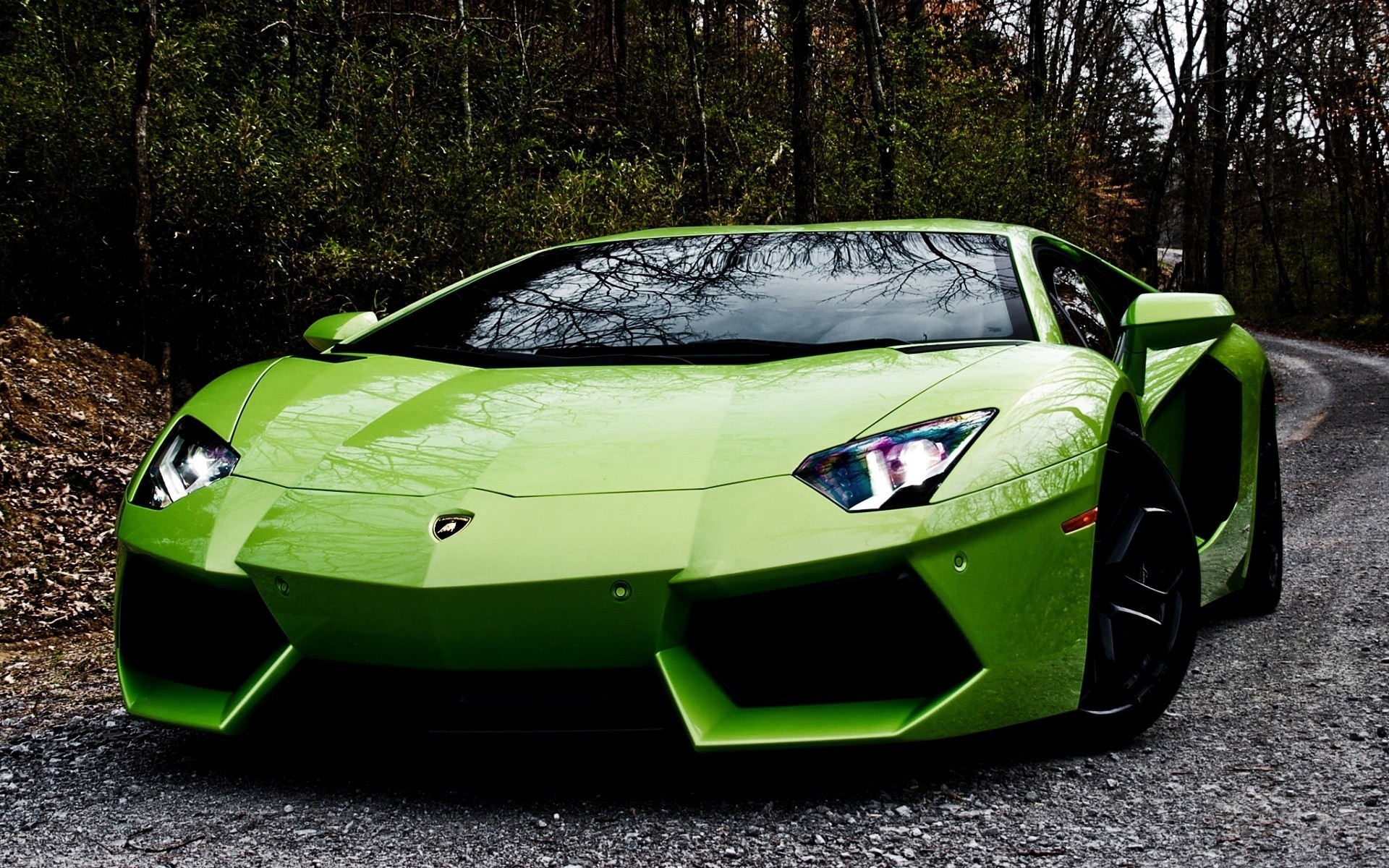 Cars Lamborghini Sports Cars Green Cars Wallpapers Hd Desktop