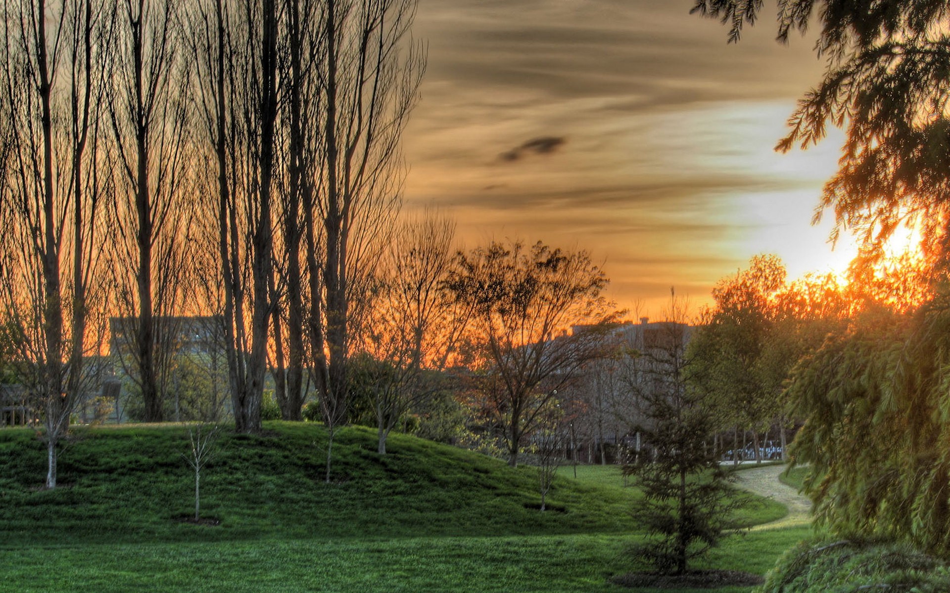 nature Wallpaper