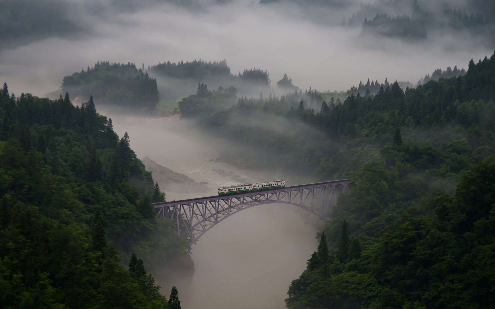 nature, Mountain, Forest, Landscape, National, Geographic, Fog, Ultrahd, 4k, Wallpaper Wallpaper