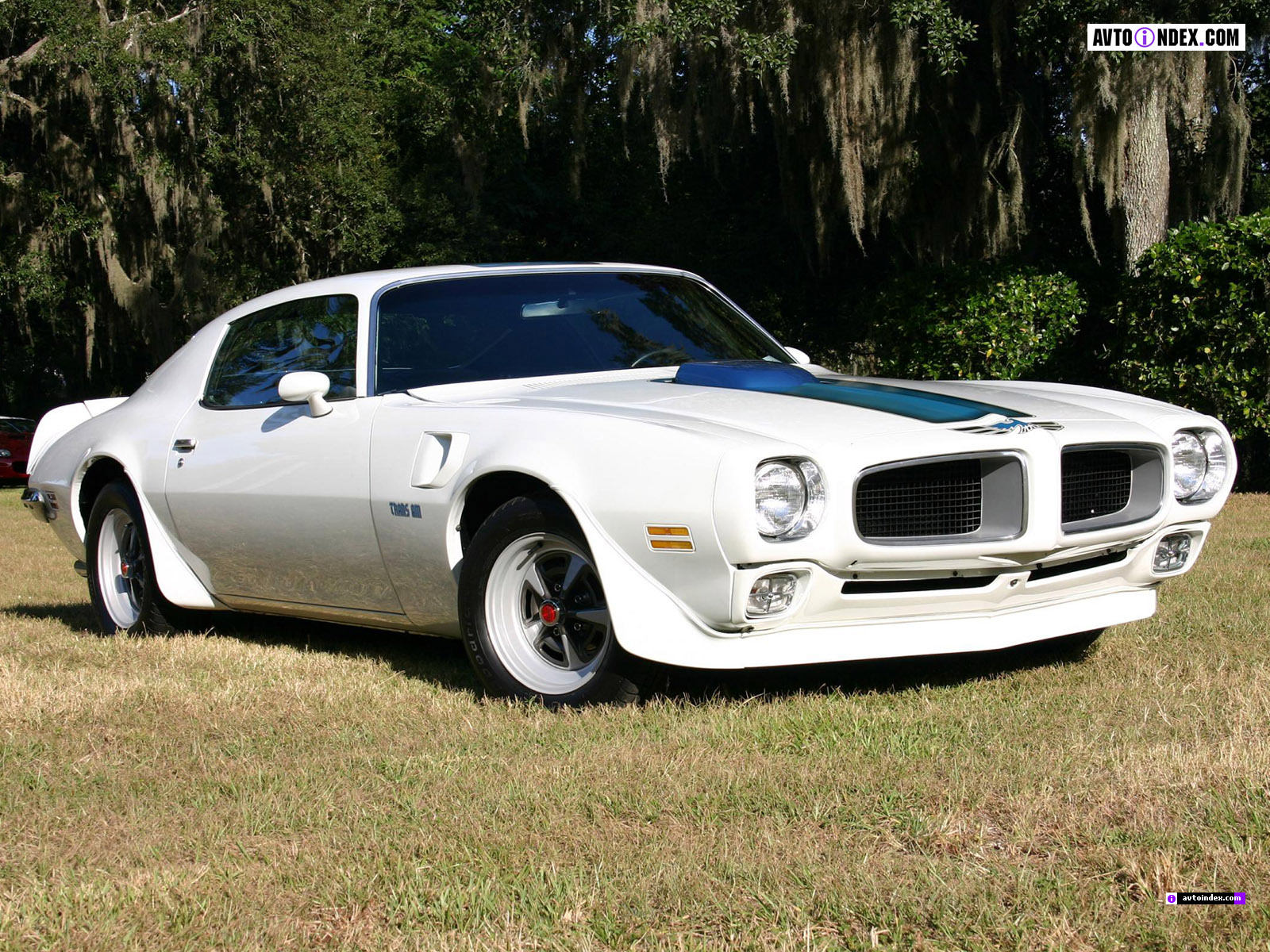 pontiac, Firebird, 1970 Wallpaper