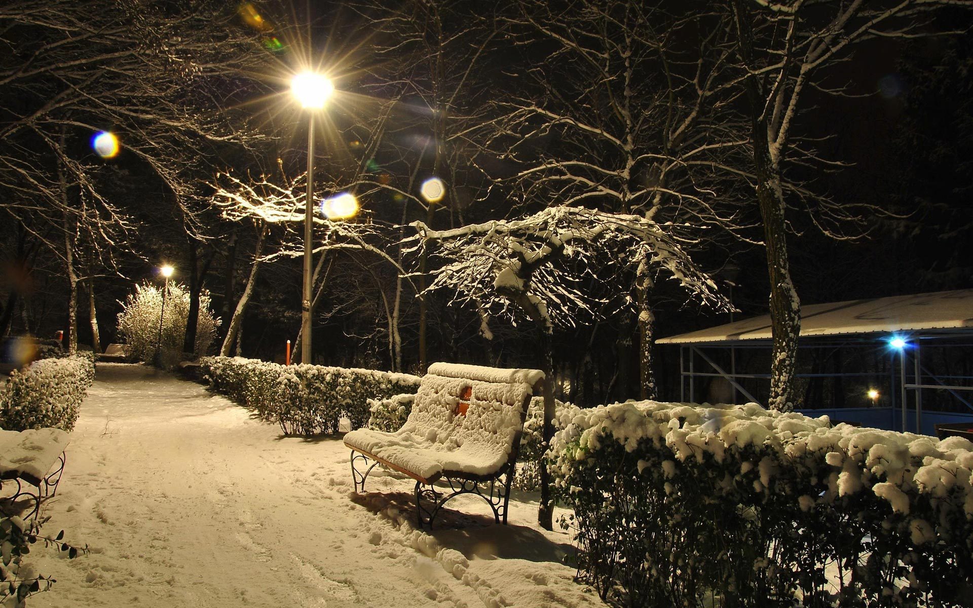winter, Seasons, Snow, Photography, Bench, Pathway, Night, Lights, Trees Wallpaper