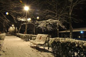 winter, Seasons, Snow, Photography, Bench, Pathway, Night, Lights, Trees