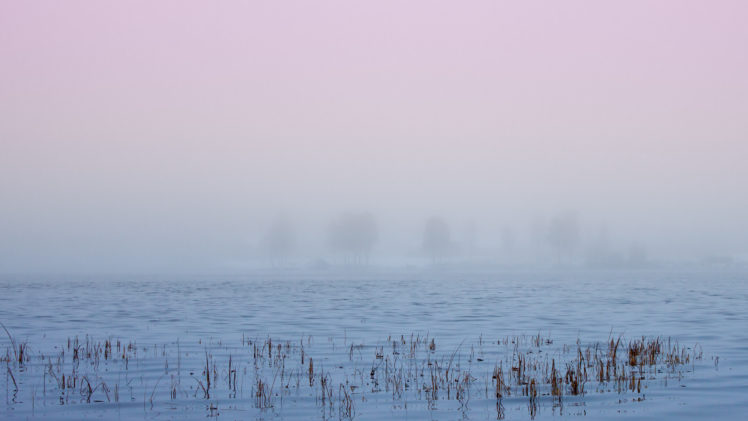 lake, Mist, Nature, Trees, Water HD Wallpaper Desktop Background