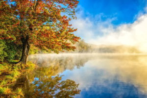 landscape, Mist, Lake, Nature, Autumn