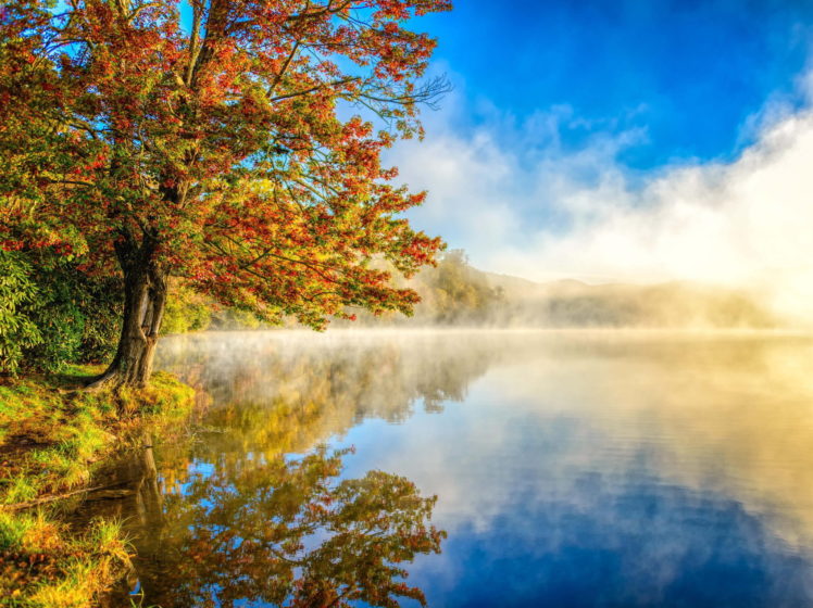 landscape, Mist, Lake, Nature, Autumn HD Wallpaper Desktop Background