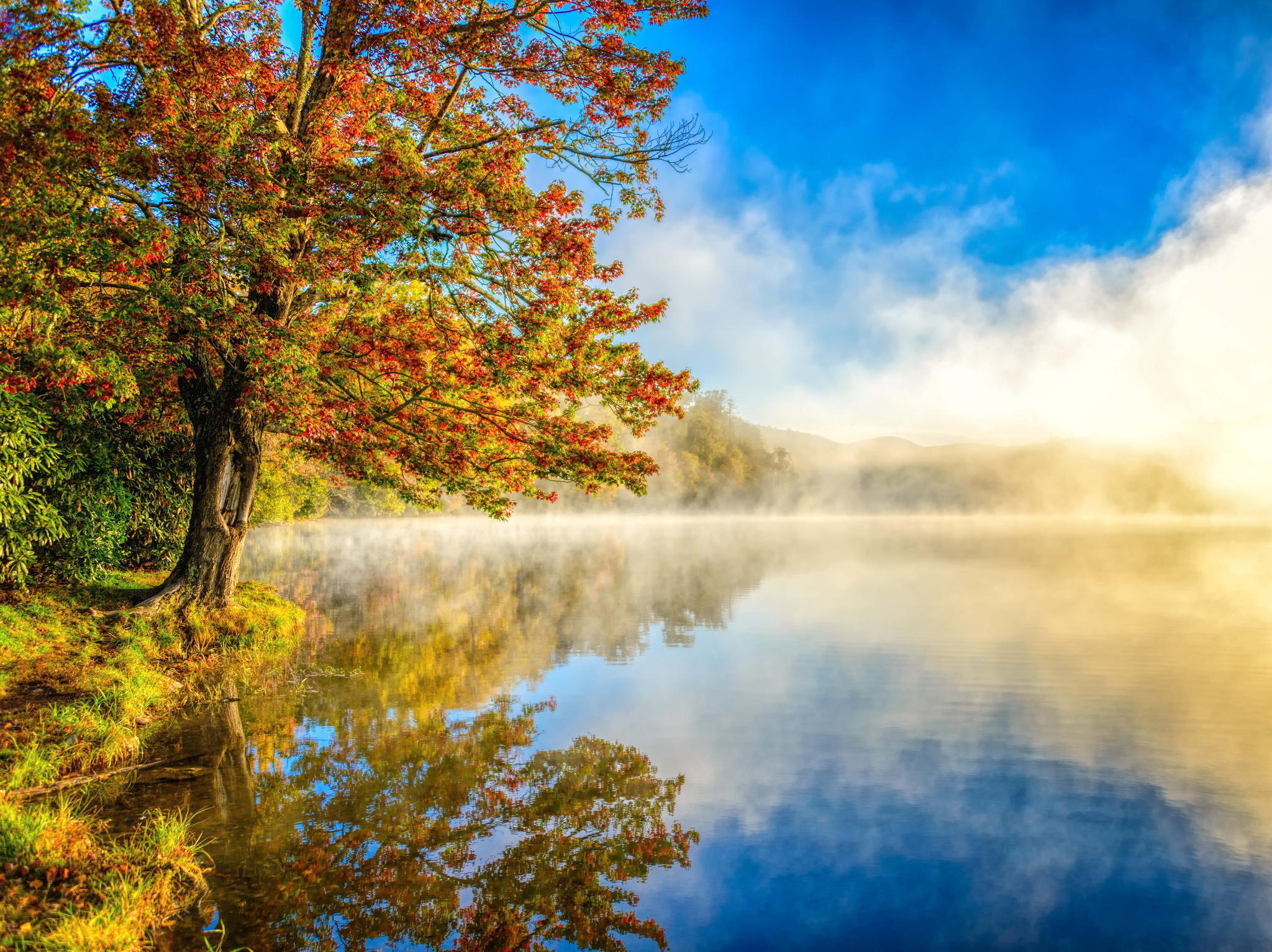 landscape, Mist, Lake, Nature, Autumn Wallpaper