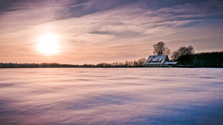 winter, Tree, House, Nature, Snow HD Wallpaper Desktop Background