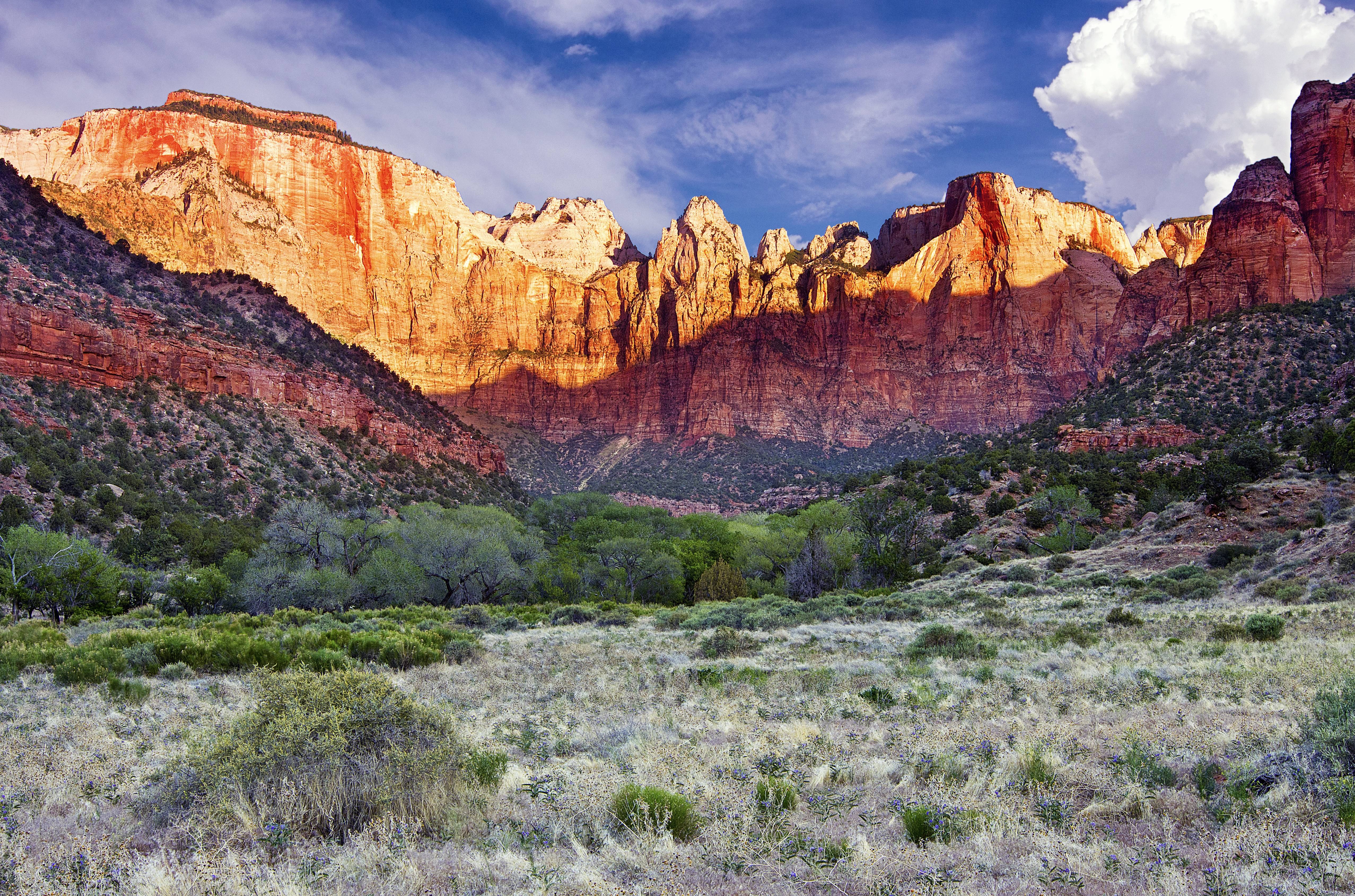 zion, National, Park, Usa, Mountains, Landscape Wallpaper
