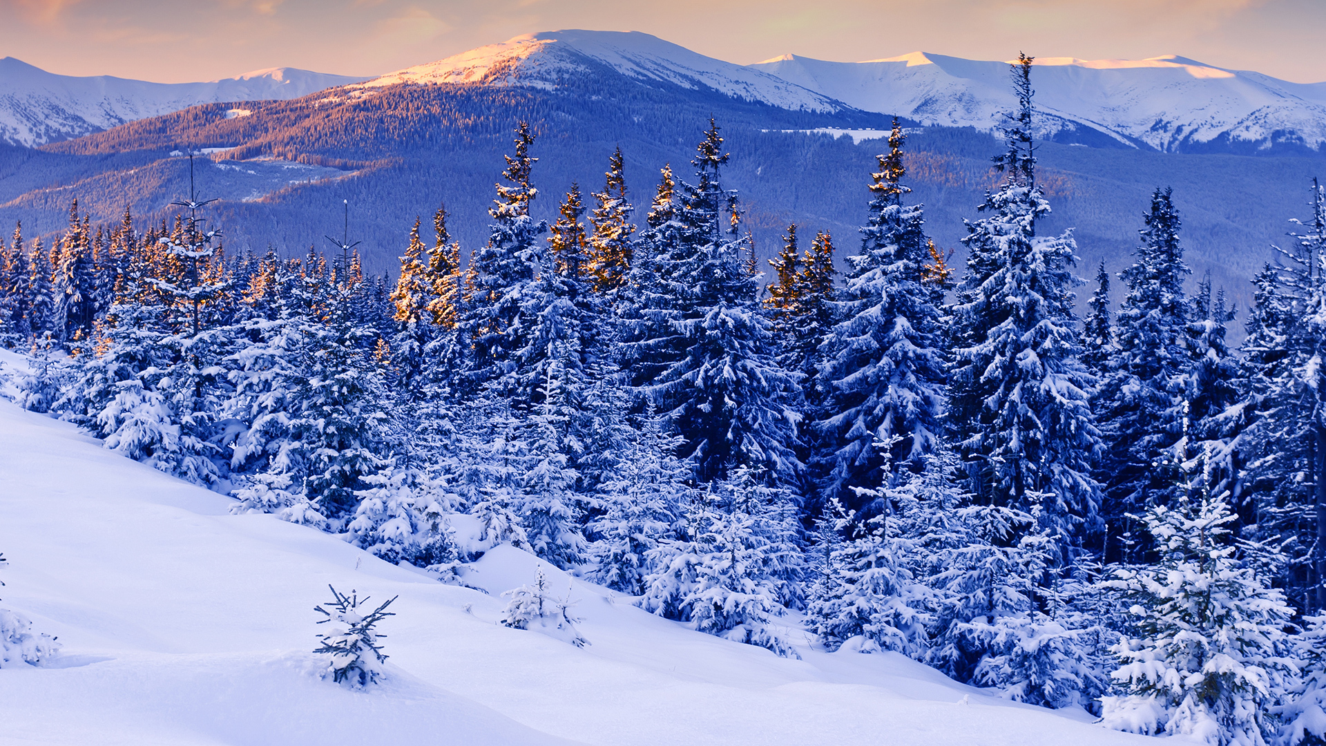 nature, Landscapes, Trees, Forests, Mountains, Scenic, Winter, Snow, Seasonal Wallpaper