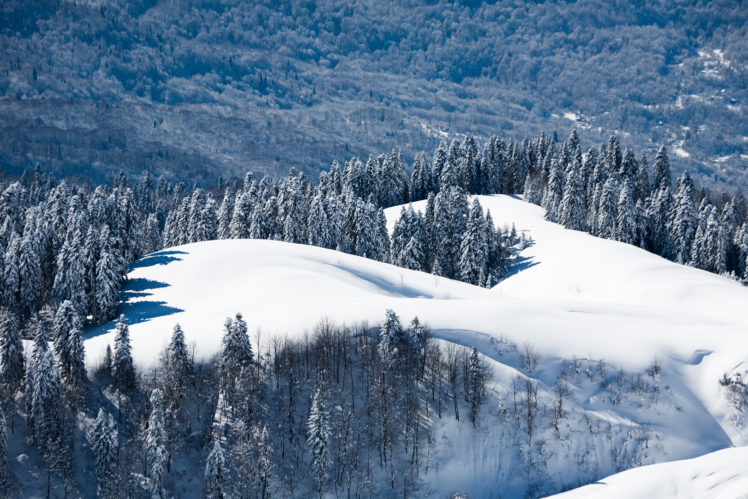 nature, Winter, Seasons, Snow, Trees, Forests, Landscapes HD Wallpaper Desktop Background