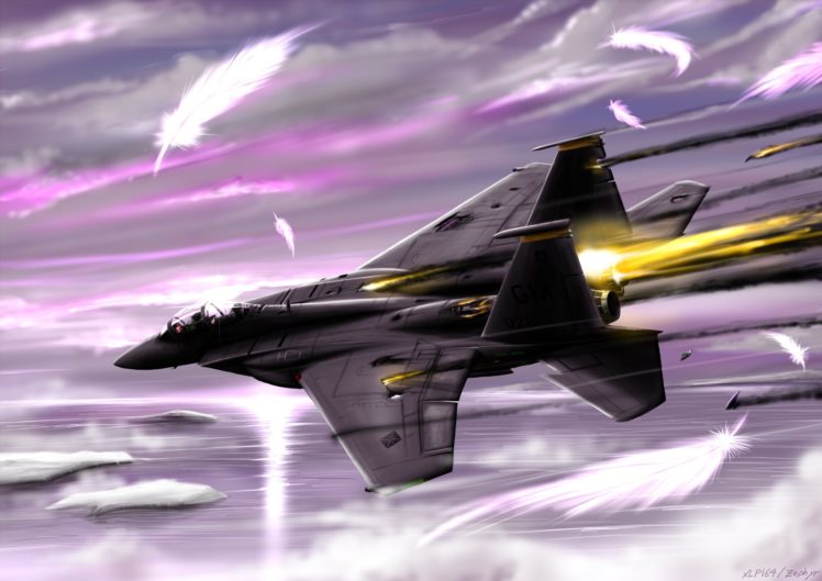 ace, Combat, Game, Jet, Airplane, Aircraft, Fighter, Plane, Military, Feather HD Wallpaper Desktop Background