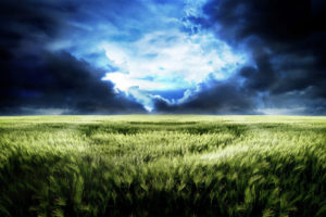 green, Landscapes, Grass, Skyscapes
