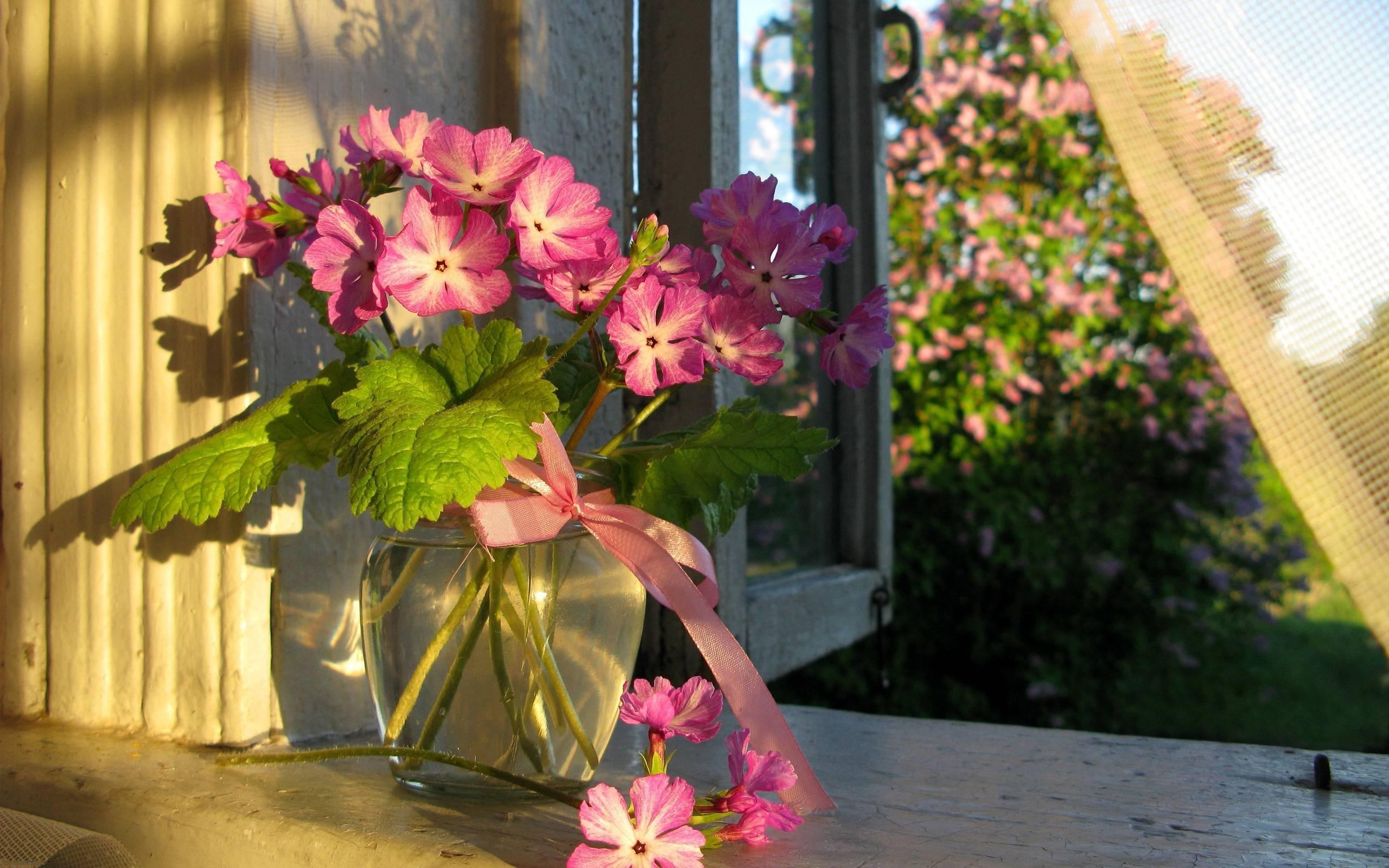 flowers Wallpaper