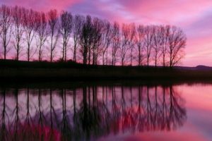 sunset, Landscapes, Trees, Lakes, Reflections