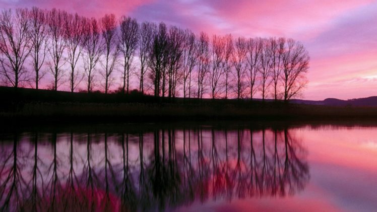 sunset, Landscapes, Trees, Lakes, Reflections HD Wallpaper Desktop Background